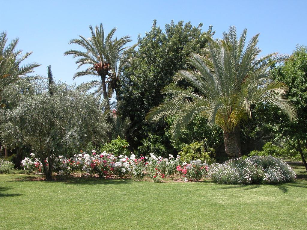 Dar Zemora Hotell Marrakesh Exteriör bild