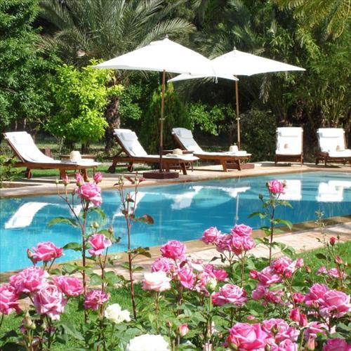 Dar Zemora Hotell Marrakesh Bekvämligheter bild